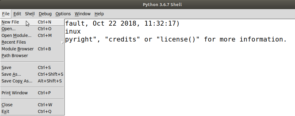 Showing how to select creation of a new file. This allows us to write scripts, code that we want to remember for later.